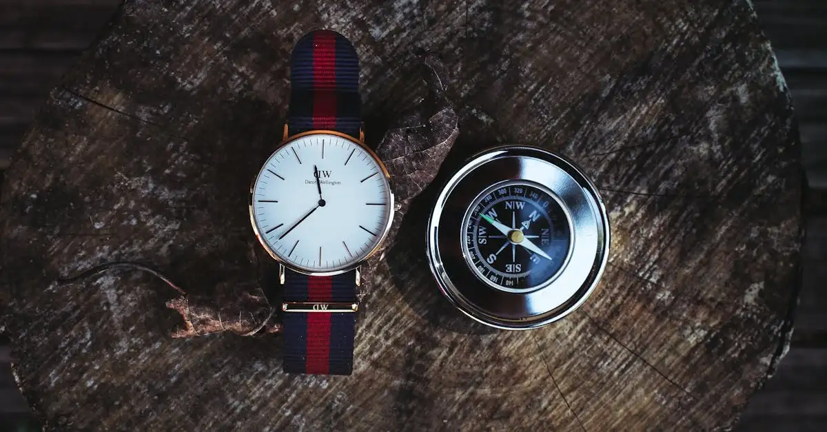 Daniel wellington horloges dames