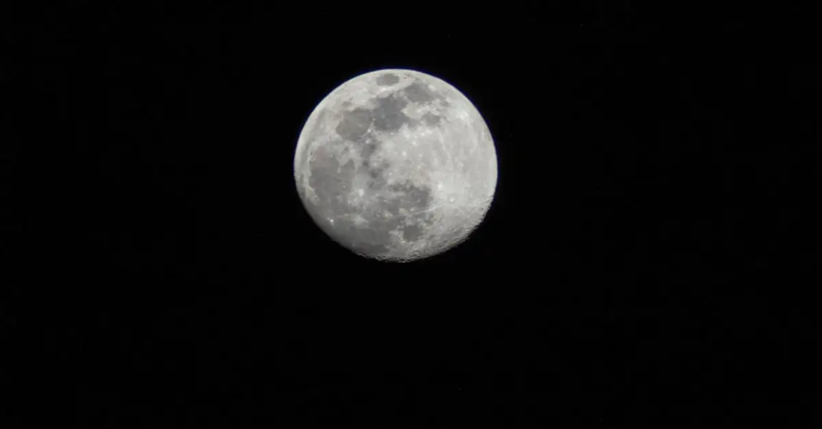 Swatch duikt in winterse sferen met nieuwe MoonSwatch voor de koude maan